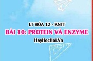 Tính chất hóa học, vật lí của Protein? Khái niệm, cấu tạo Protein, vai trò của Protein, Enzyme? Hóa 12 bài 10 KNTT